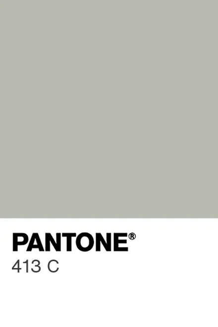 Pantone 413 C